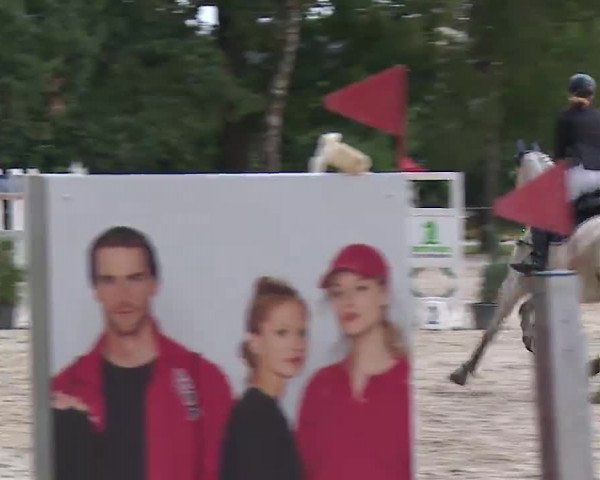Reitturnier Rot am See- Musdorf 2022