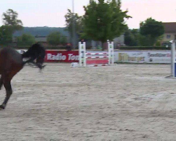 Reitturnier Rot am See- Musdorf 2022