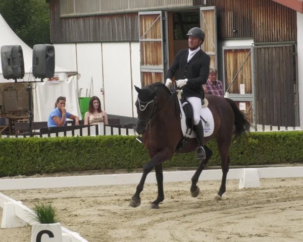 Reitturnier Neu-Anspach 2022