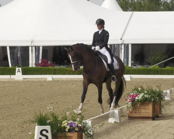 Reitturnier Neu-Anspach 2022