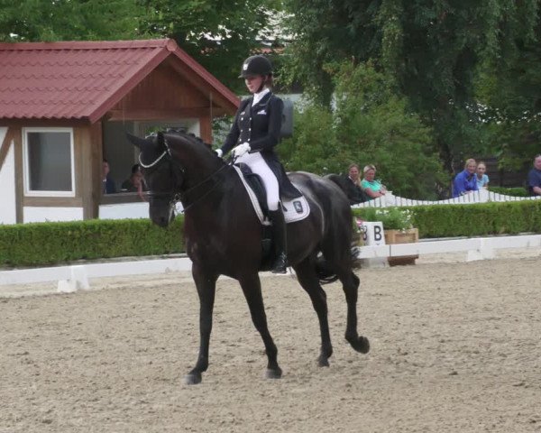 Reitturnier Neu-Anspach 2022