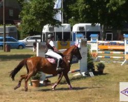 jumper Ricarda 301 (Oldenburg, 2005, from Royaldik)
