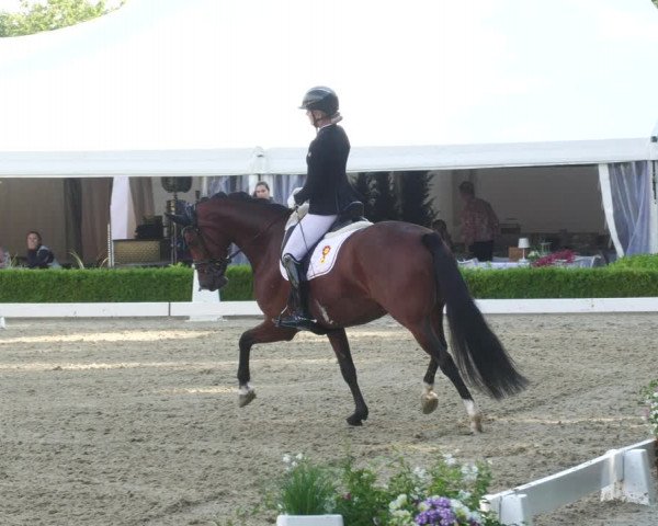 Reitturnier Neu-Anspach 2022