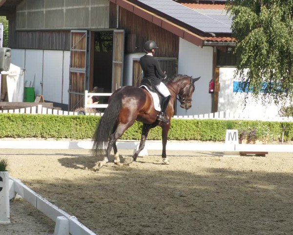 Reitturnier Neu-Anspach 2022
