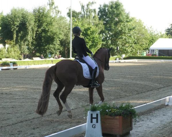 Reitturnier Neu-Anspach 2022