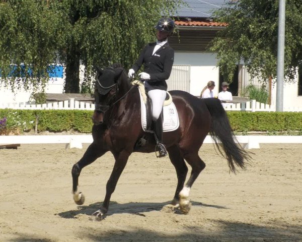 Reitturnier Neu-Anspach 2022