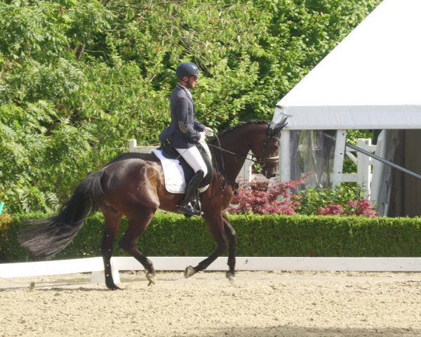 Reitturnier Neu-Anspach 2022