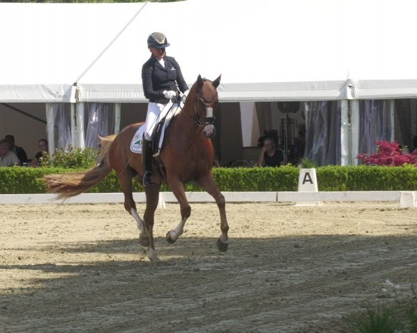 Reitturnier Neu-Anspach 2022