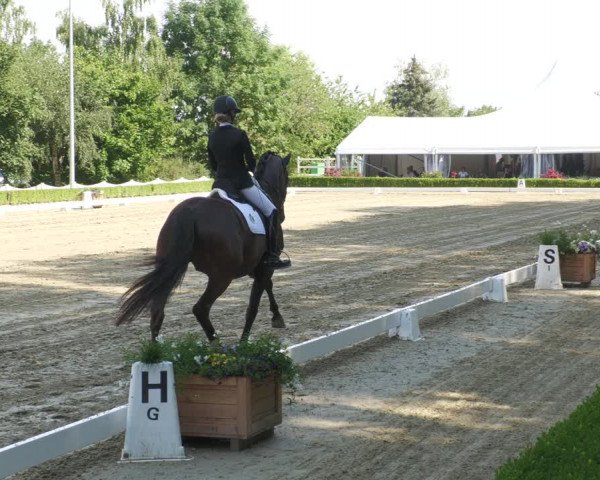 Reitturnier Neu-Anspach 2022