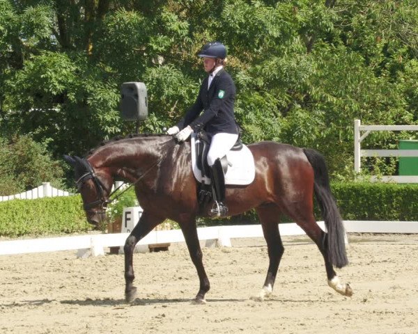 Reitturnier Neu-Anspach 2022