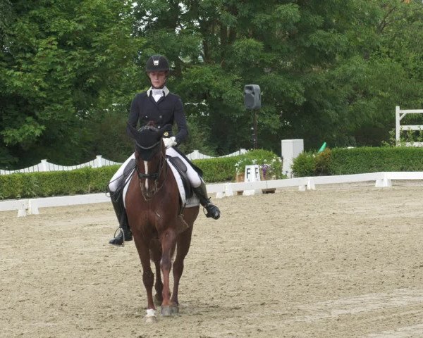 Reitturnier Neu-Anspach 2022