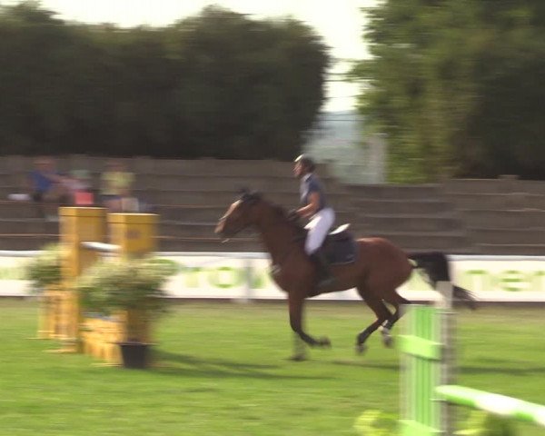 Reitturnier Baschütz bei Bautzen 2022