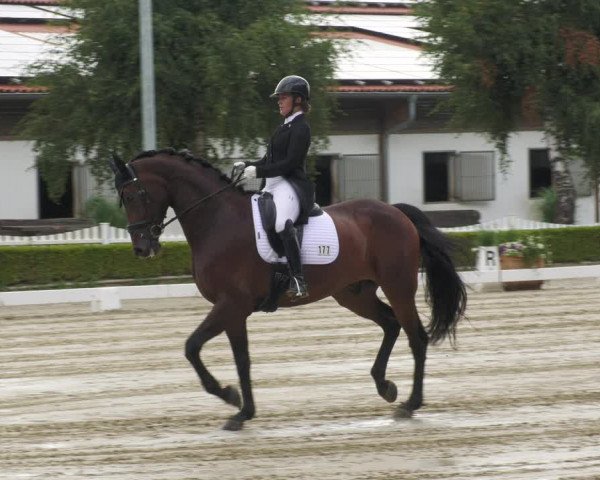 Reitturnier Neu-Anspach 2022