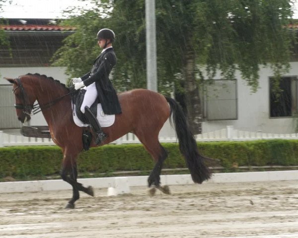 Reitturnier Neu-Anspach 2022