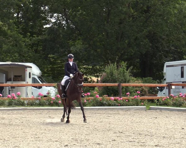 Reitturnier Schwanewede 2022