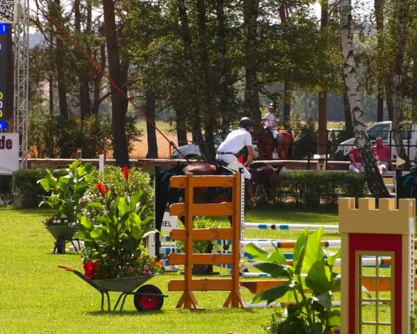 Reitturnier Etingen 2022