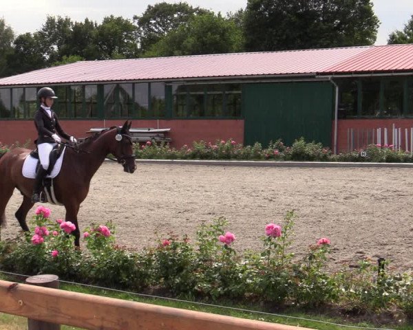 Reitturnier Schwanewede  2022