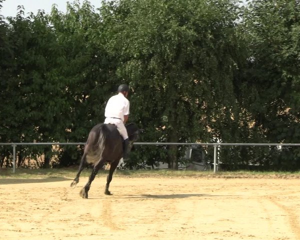 Reitturnier Panrod 2022