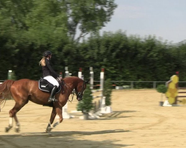 Reitturnier Panrod 2022