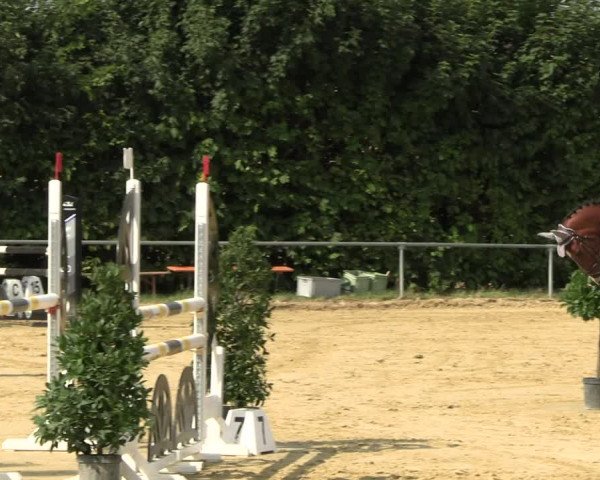 Reitturnier Panrod 2022