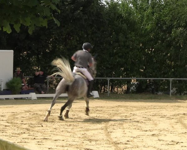 Reitturnier Panrod 2022
