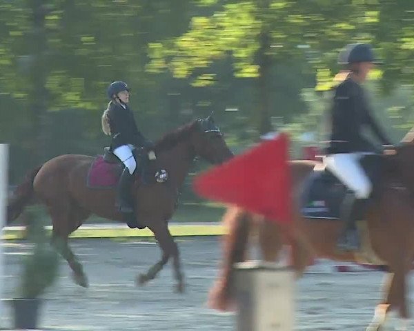 Reitturnier Rot am See- Musdorf 2022