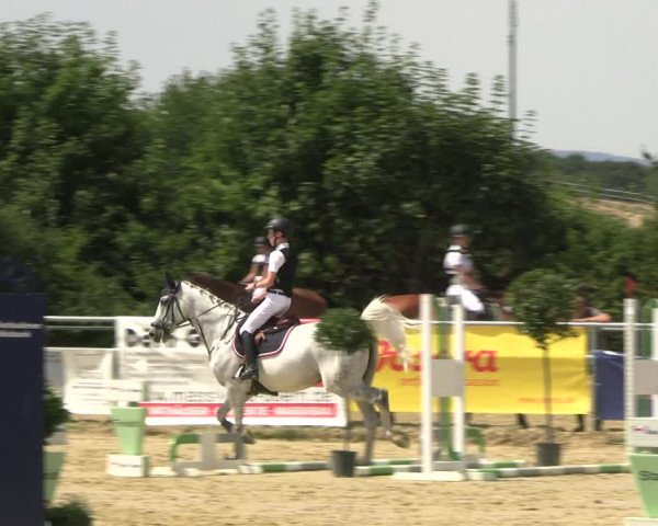 Reitturnier Panrod 2022