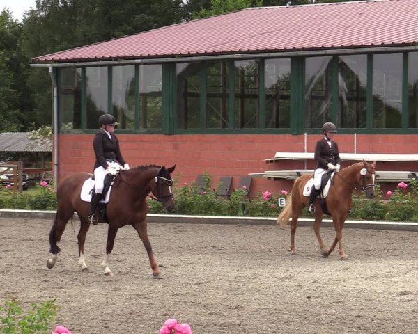 Reitturnier Schwanewede  2022