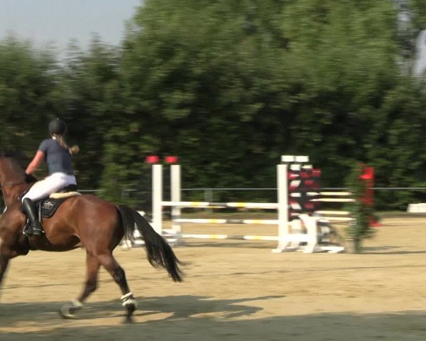Reitturnier Panrod 2022