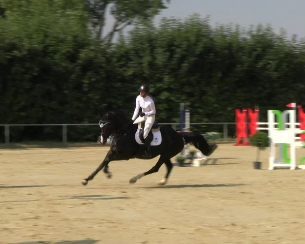 Reitturnier Panrod 2022