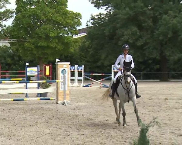 Reitturnier Rot am See- Musdorf 2022