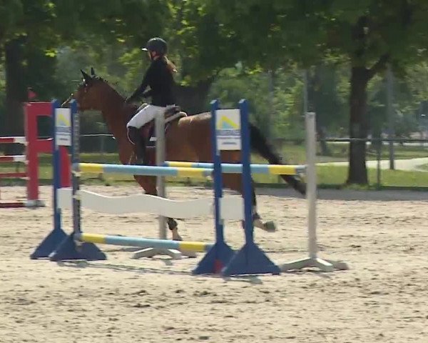 Reitturnier Rot am See- Musdorf 2022