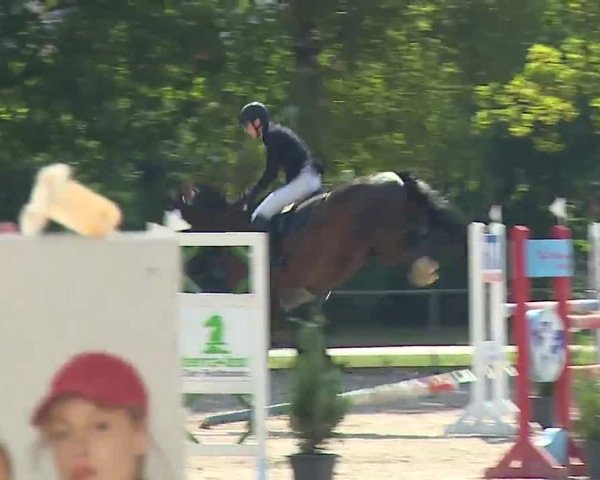 Reitturnier Rot am See- Musdorf 2022