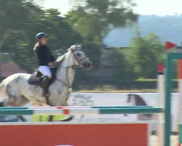 Reitturnier Rot am See- Musdorf 2022