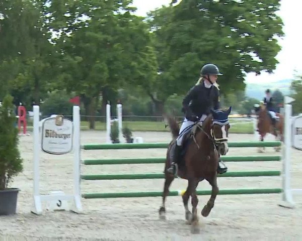 Reitturnier Rot am See- Musdorf 2022