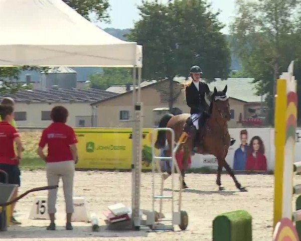 Reitturnier Rot am See- Musdorf 2022