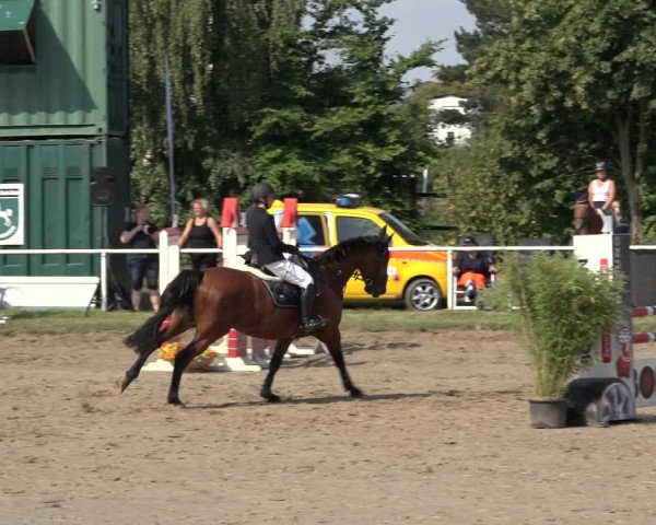 Reitturnier Volkmarode 2022