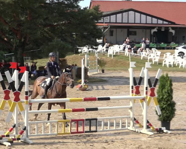 Reitturnier Volkmarode 2022