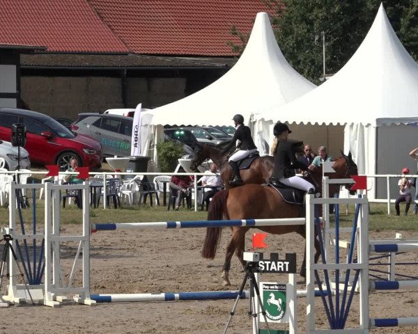Reitturnier Volkmarode 2022