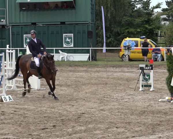 Reitturnier Volkmarode 2022