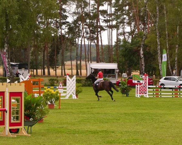 Reitturnier Etingen 2022