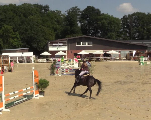 Reitturnier Clarholz 2022