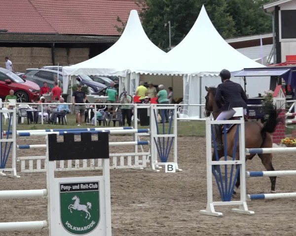 Reitturnier Volkmarode 2022