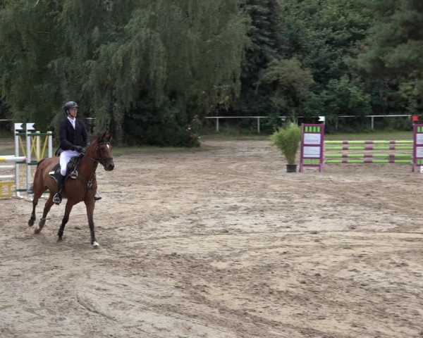 Reitturnier Volkmarode 2022