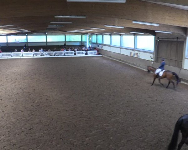 Reitturnier Clarholz 2022