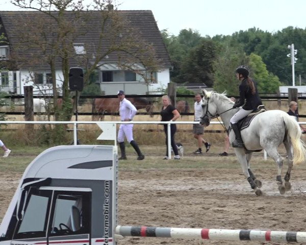 Reitturnier Volkmarode 2022
