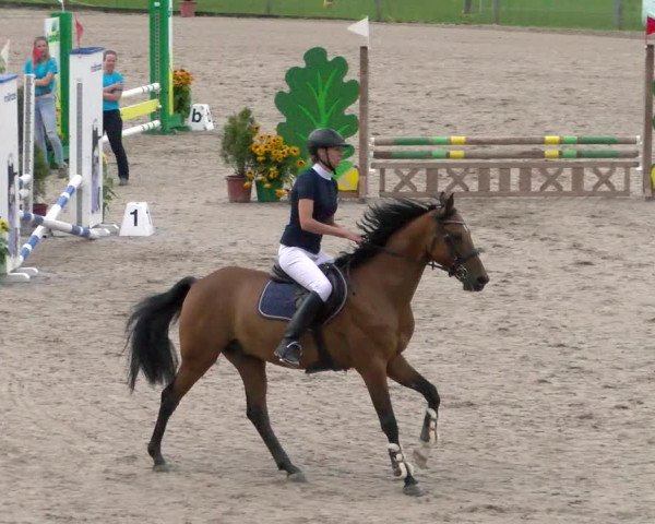 Reitturnier Gossau 2022