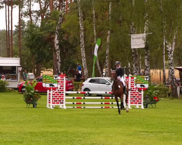 Reitturnier Etingen 2022