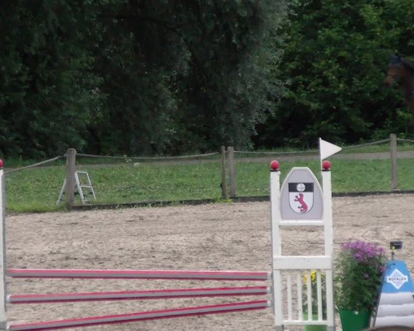 Reitturnier Gossau 2022