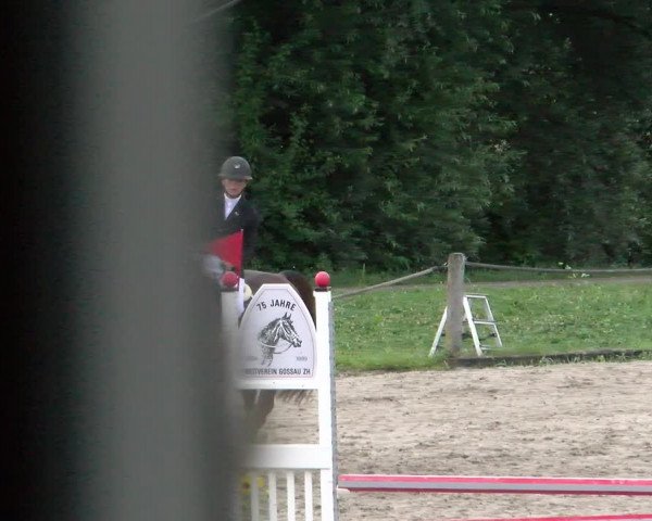 Reitturnier Gossau 2022